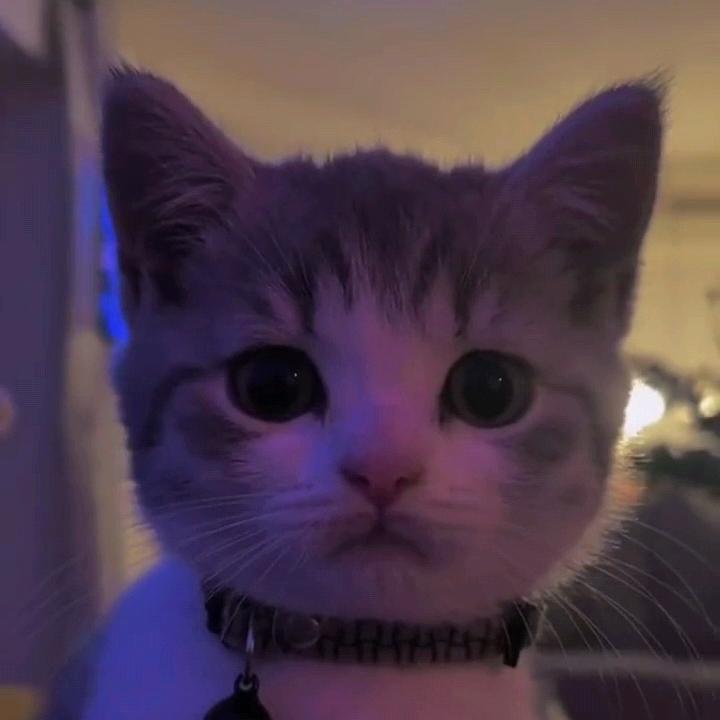 制作人：阳朔DJ华